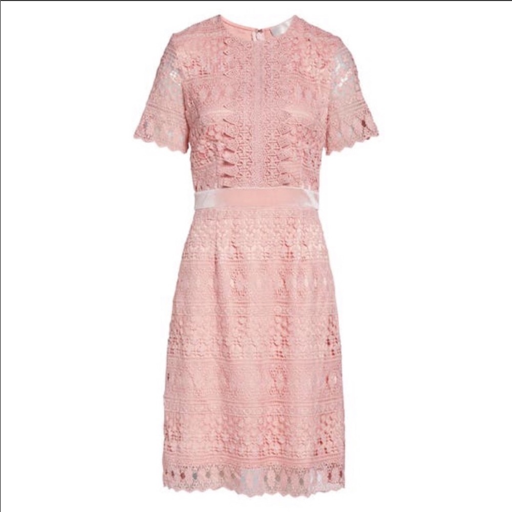 Rachel Parcell pink short sleeve lace dress XL